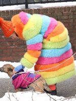 Elsbeth Carrie Preston Rainbow Faux Fur Coat - Image 2