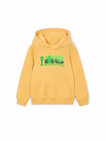 FIFA World Cup 2026 Boston Hoodie